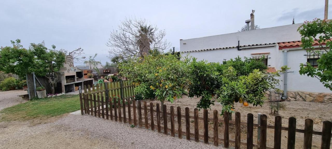 Carme De Nelis Ferienhaus Deltebre